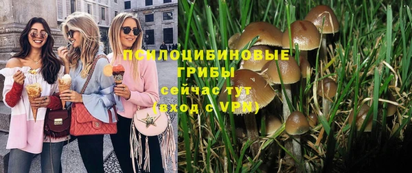 дурь Абдулино