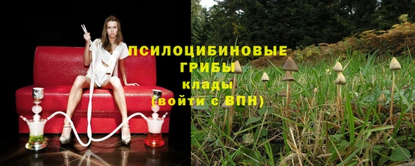 спиды Абинск