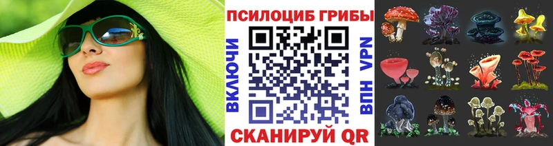 ссылка на мегу tor  Нефтеюганск  Псилоцибиновые грибы ЛСД 