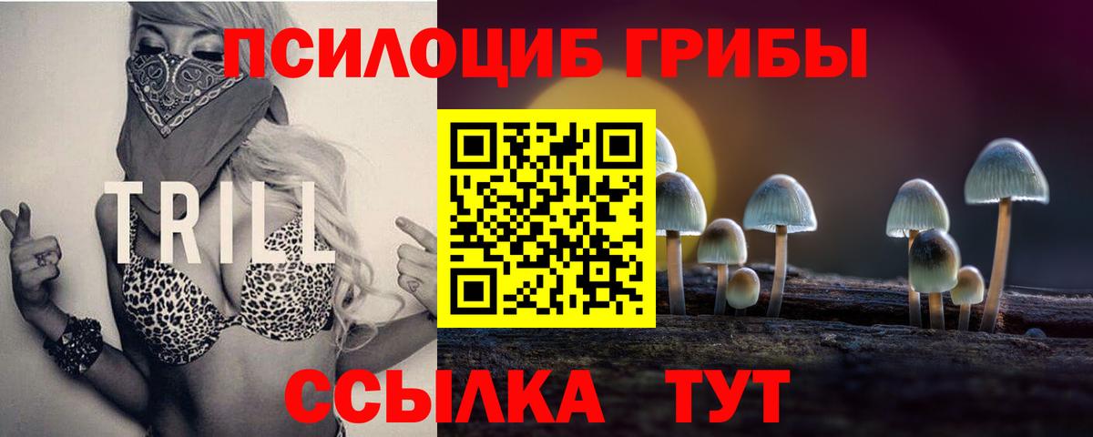 Нефтеюганск  наркота  Галлюциногенные грибы мухоморы  Вход с VPN  Псилоцибиновые грибы Psilocybe 